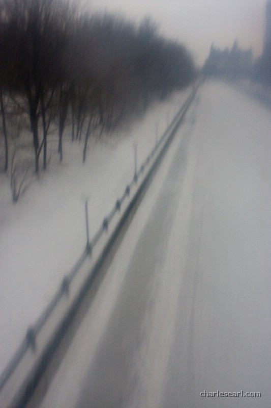 Winter Stroll #2
