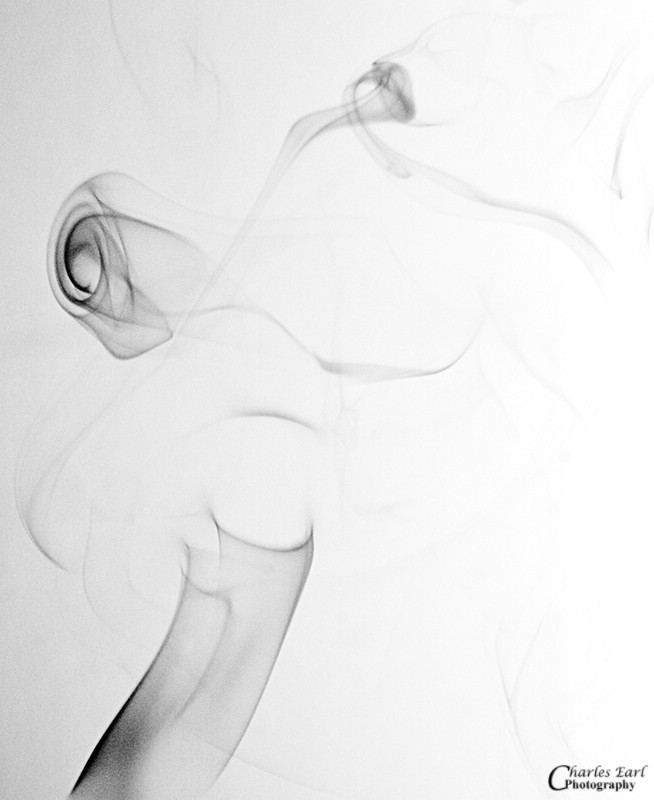 Smoke Rose