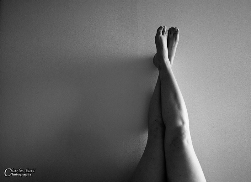Legs