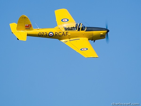 DH Chipmunk