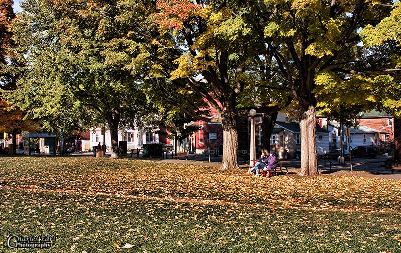 Last days in the Park