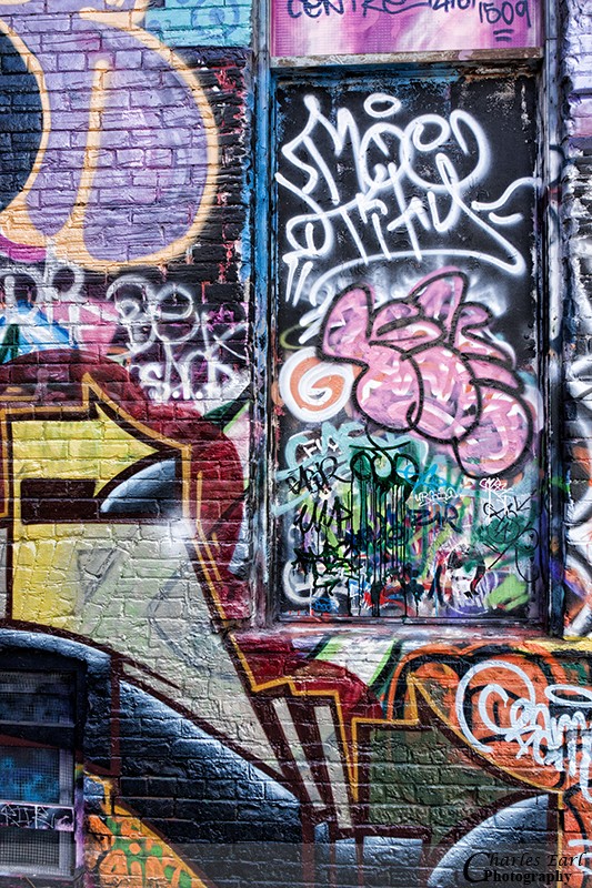 Hidden door