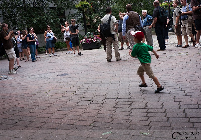 Running the Gauntlet