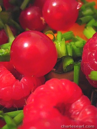 Harvest Time