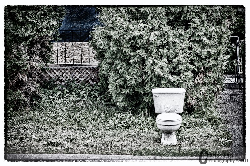 Flushed