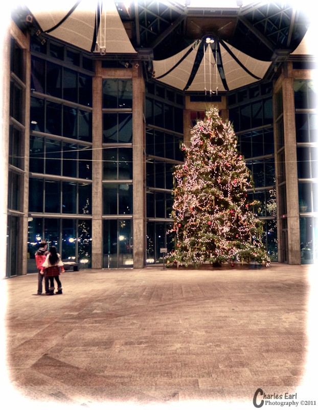 Merry Christmas Everyone