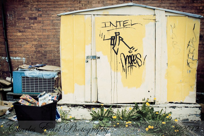 Yellow Shed