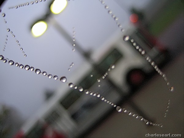 Dew