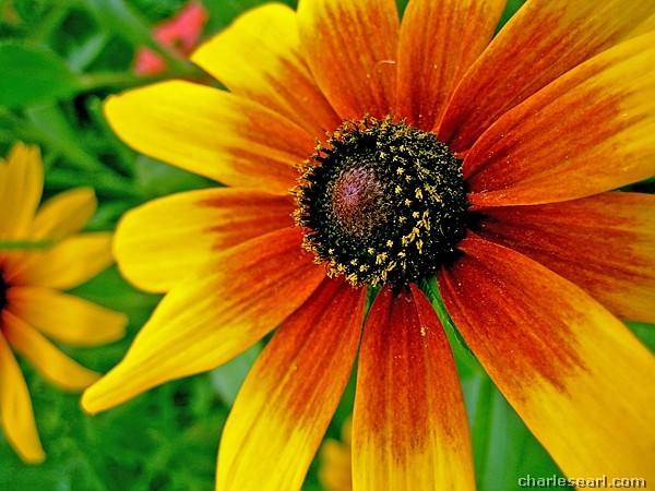 Fighting back the darkness