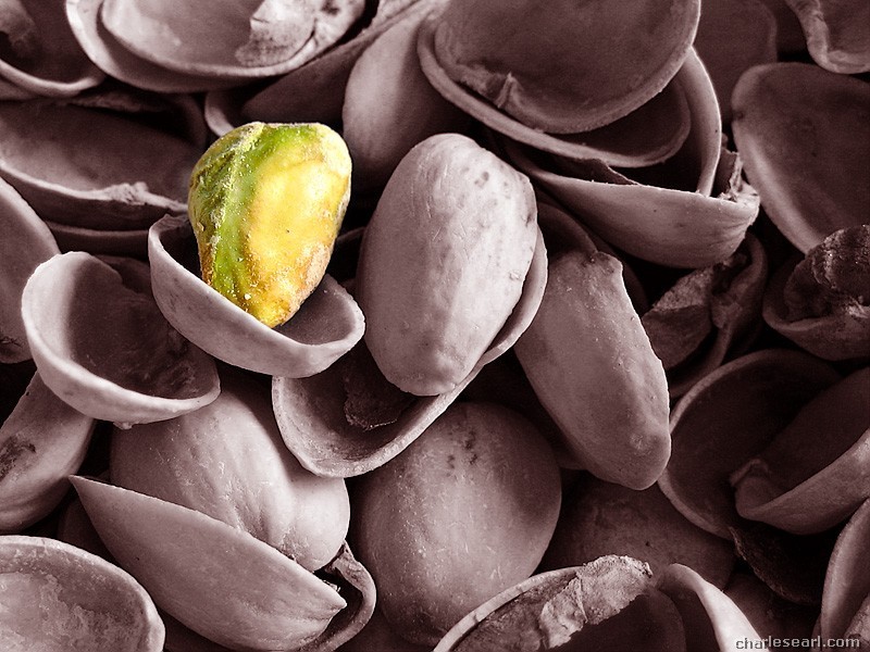 Last Pistachio