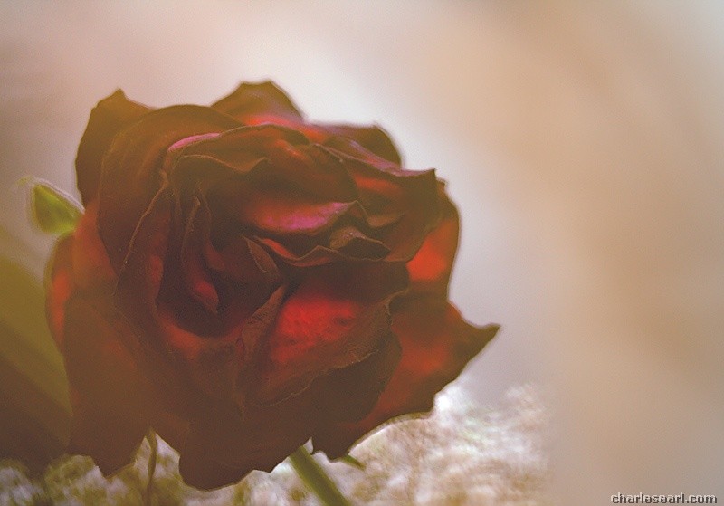 Spaghetti Filter Instructions