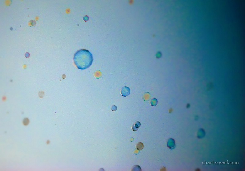 Soap Bubbles