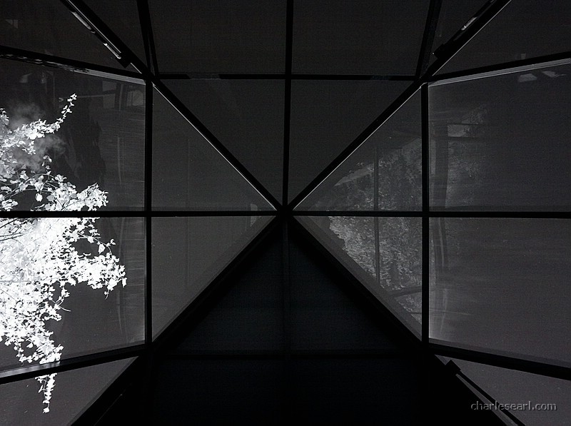 Skylight