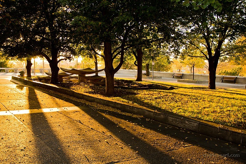 Autumn Light