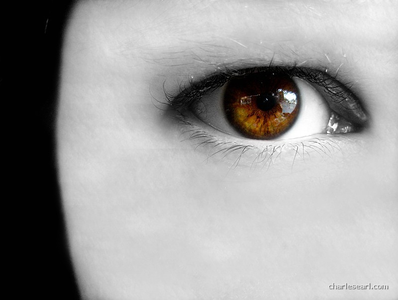 Eye