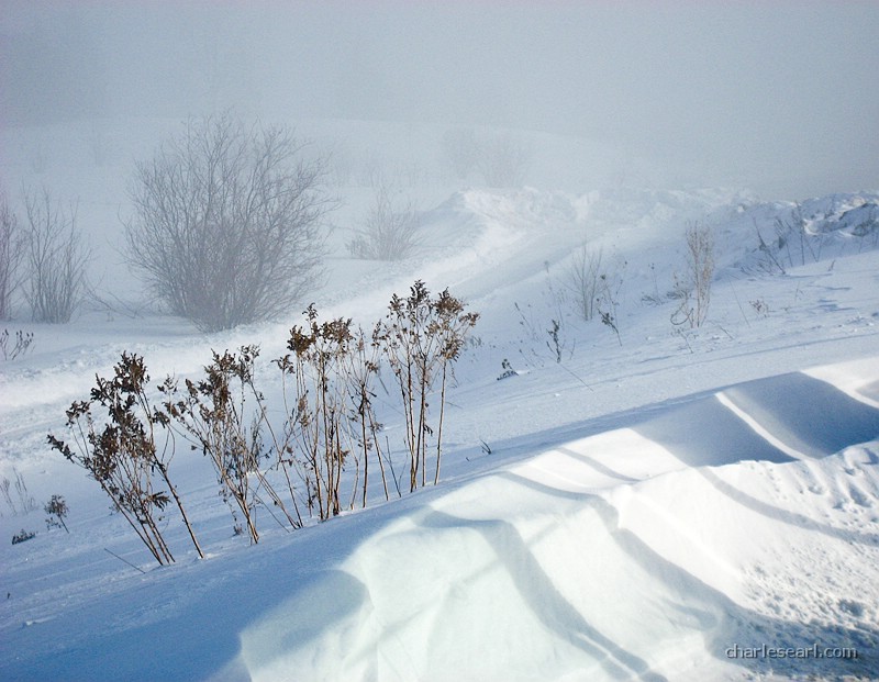 Lebreton Flats Fog