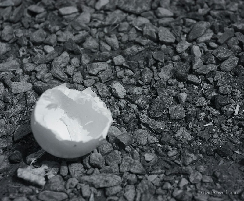 Eggshell