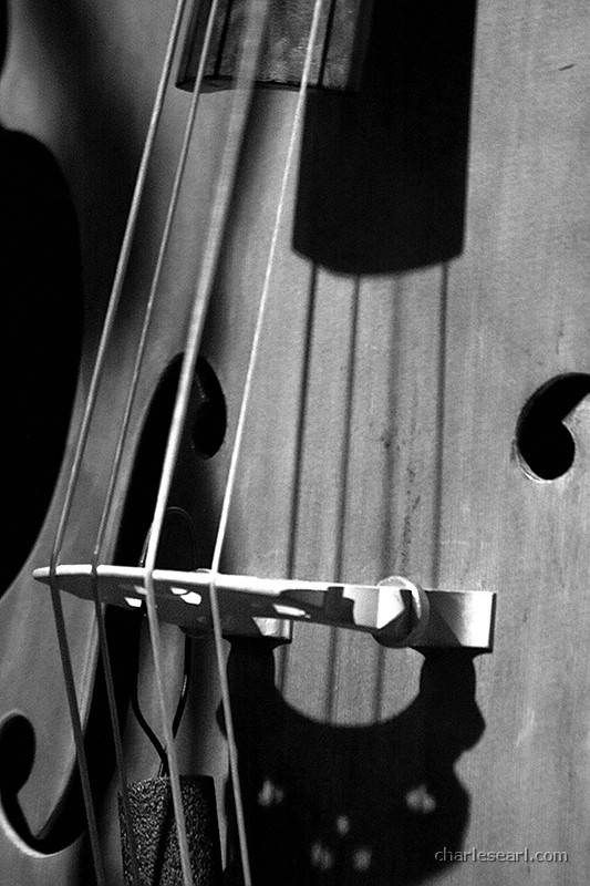 Cello