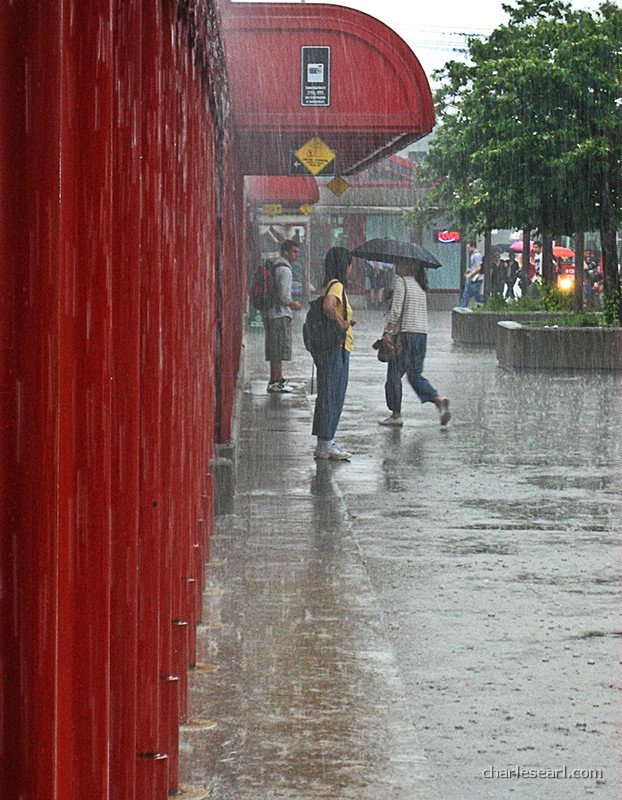 Wet Long Weekend